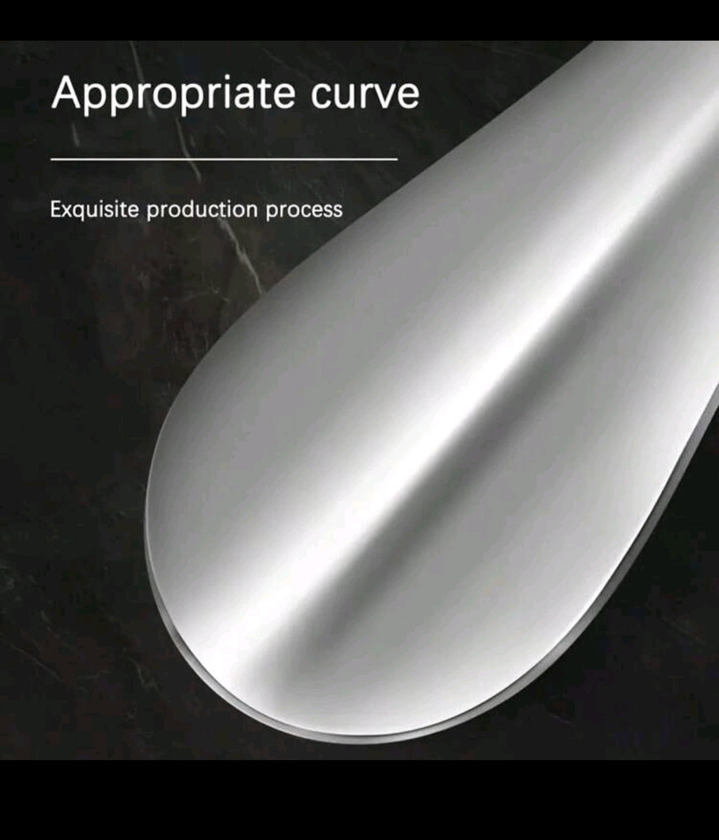 Shoe Horn