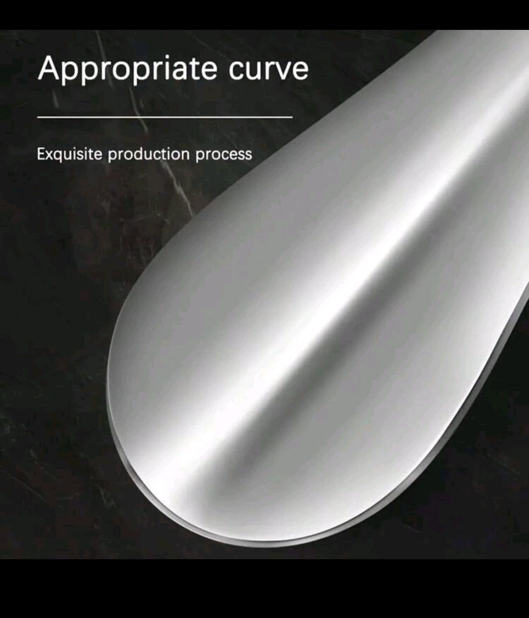 Shoe Horn